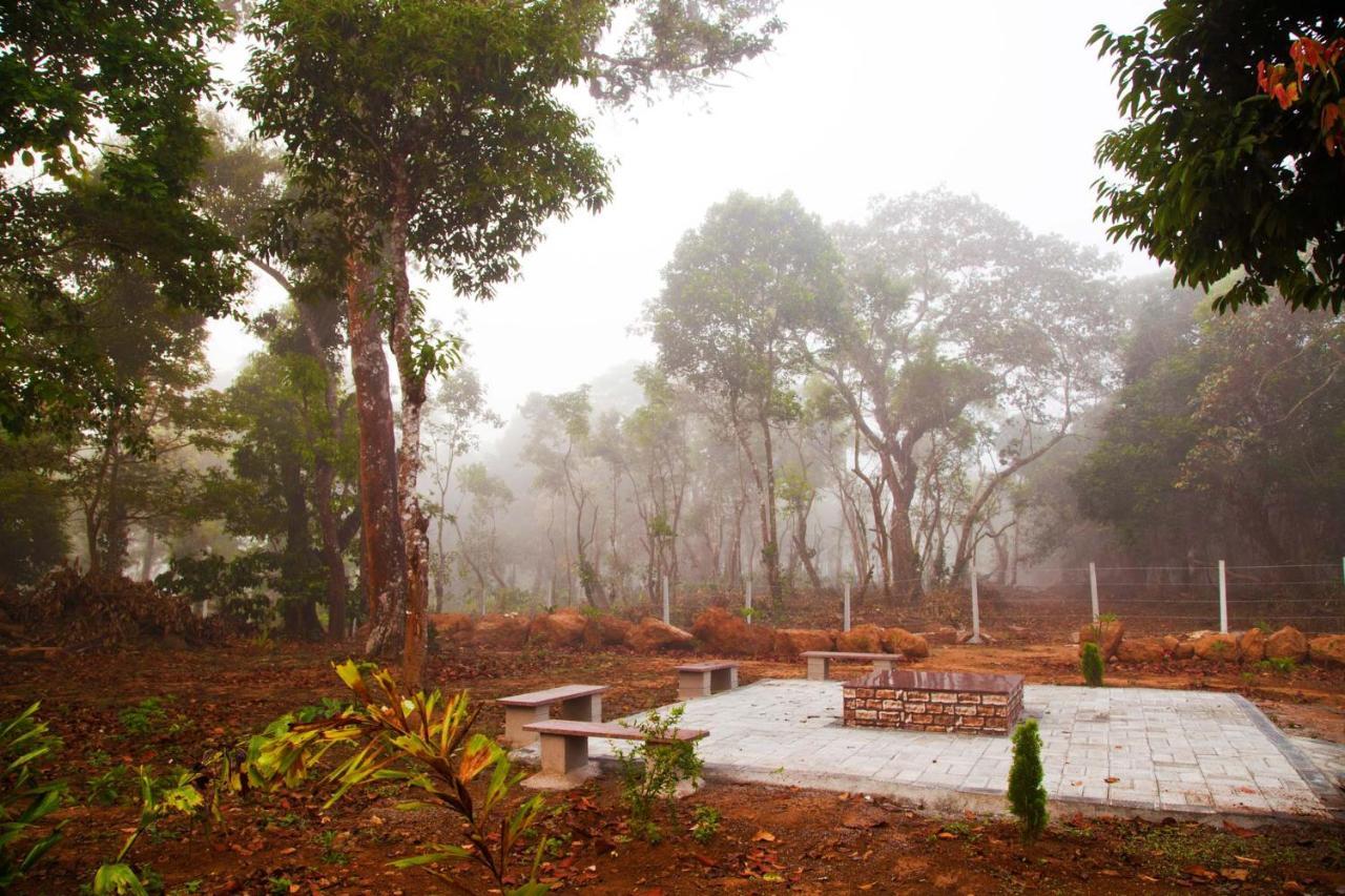 Coffee & Mist Luxury Villa- Comp Breakfast, Pool, Lounge, And Coffee Estate By Stayvista Madikeri Eksteriør bilde